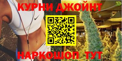 крисы Малоярославец