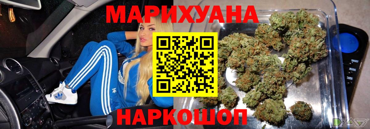 Конопля план  Каннабис сатива  Вход с VPN  Верхняя Пышма 